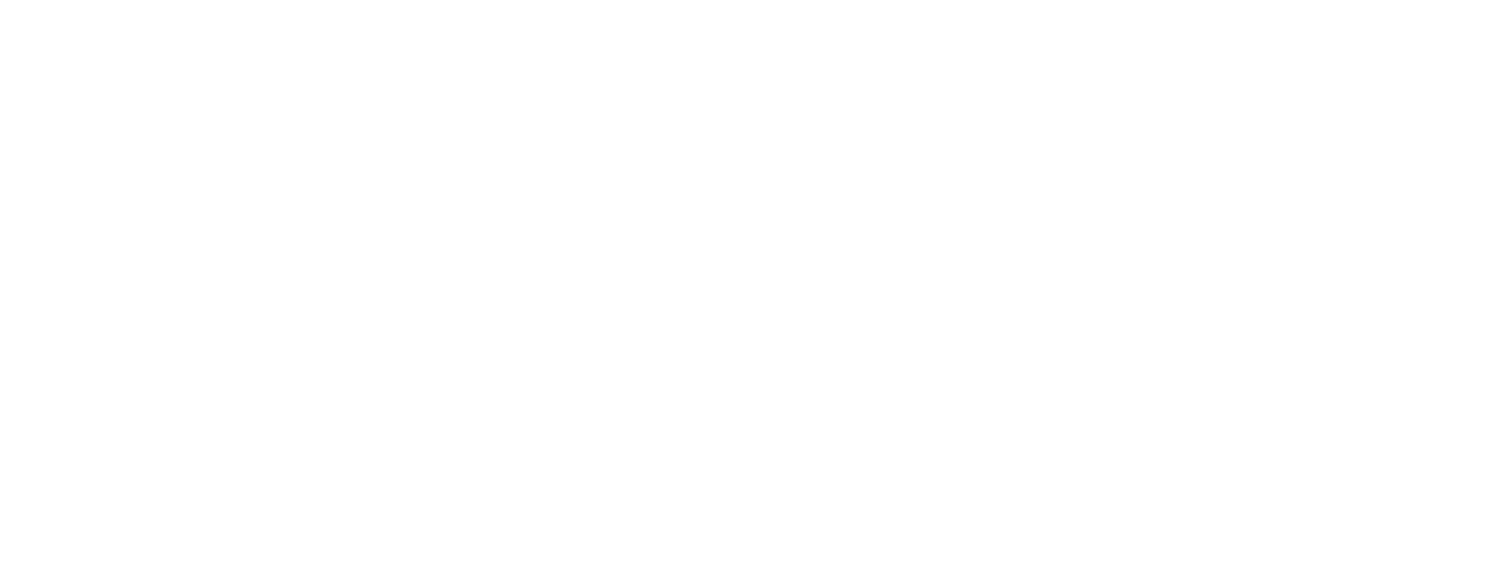 Lesley Ann